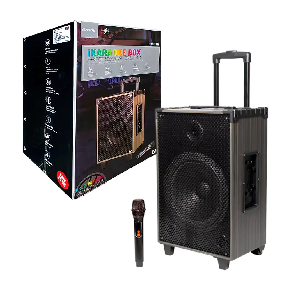 Bocina de karaoke brodu profesional de 8 pulgadas con micrófono y diseño vintage